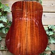 Eastman Eastman E10D-TC (#...248)