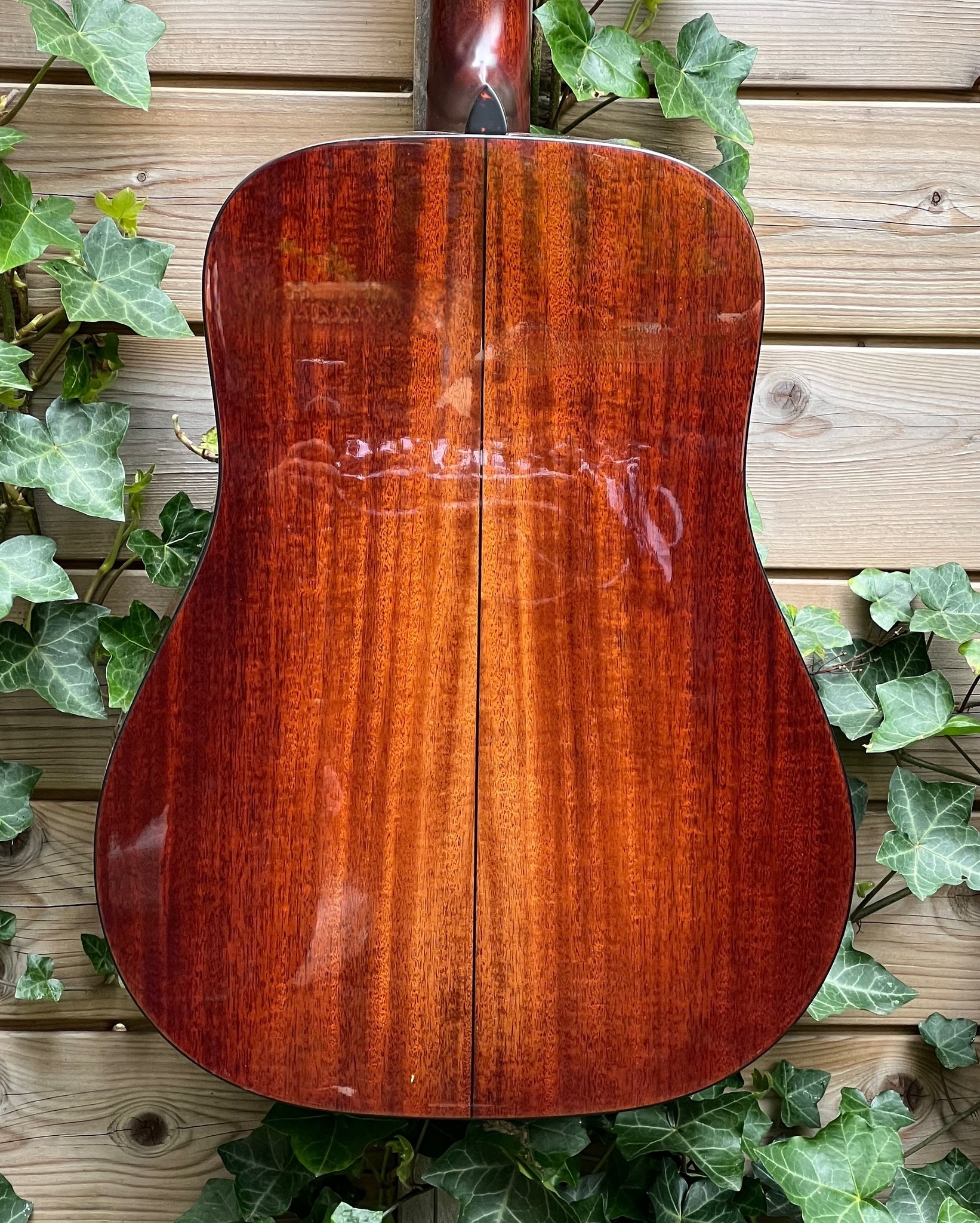 Eastman Eastman E10D-TC (#...248)