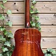 Eastman Eastman E10D-TC (#...248)
