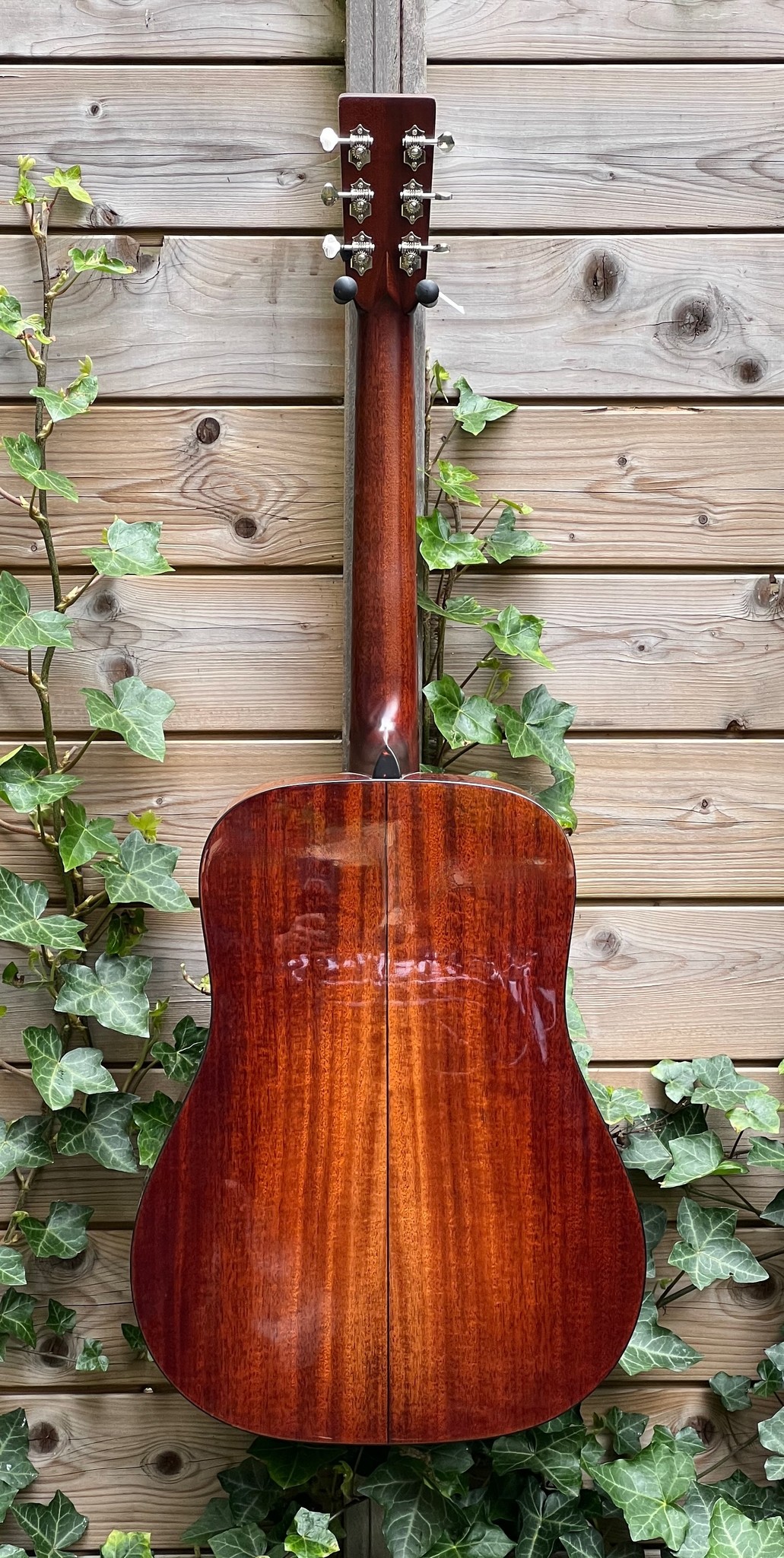 Eastman Eastman E10D-TC (#...248)