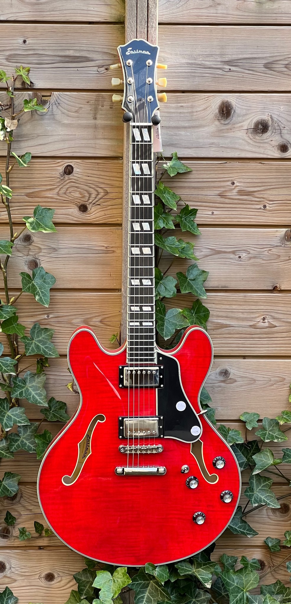 Eastman Eastman T486-RD Cherry Red (#...280)