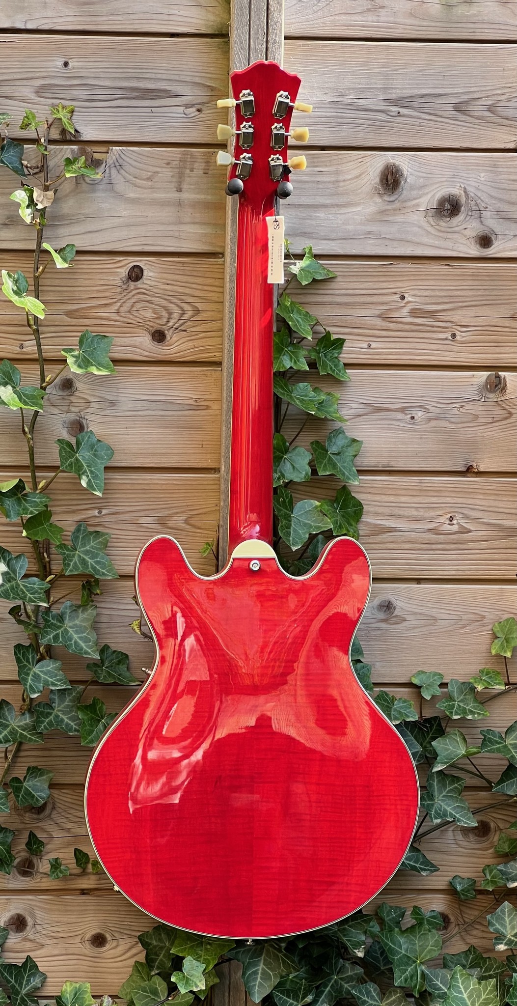 Eastman Eastman T486-RD Cherry Red (#...280)