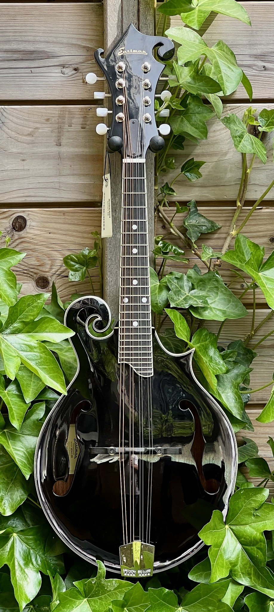 Eastman Eastman MD415-BK F-Style F-Holes