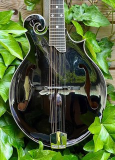 Eastman Eastman MD415-BK F-Style F-Holes