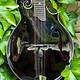 Eastman Eastman MD415-BK