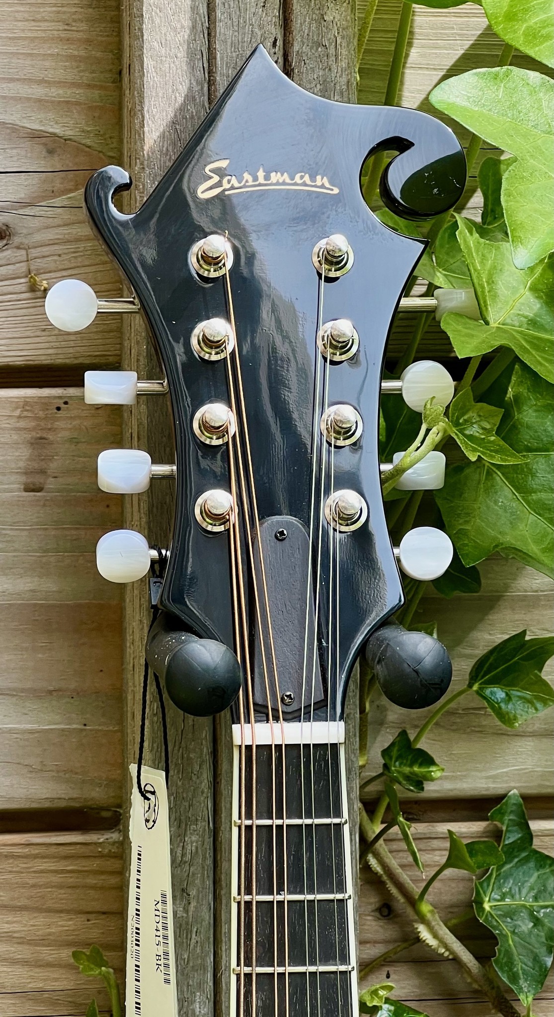 Eastman Eastman MD415-BK F-Style F-Holes