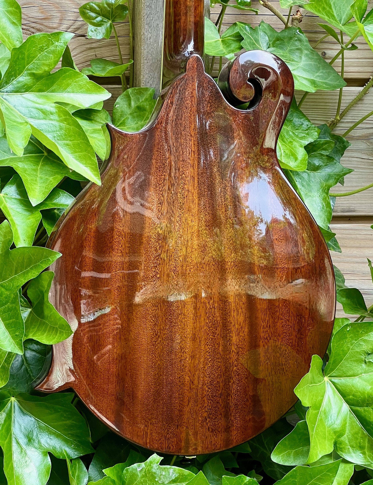 Eastman Eastman MD415-BK F-Style F-Holes