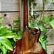 Eastman Eastman MD415-BK