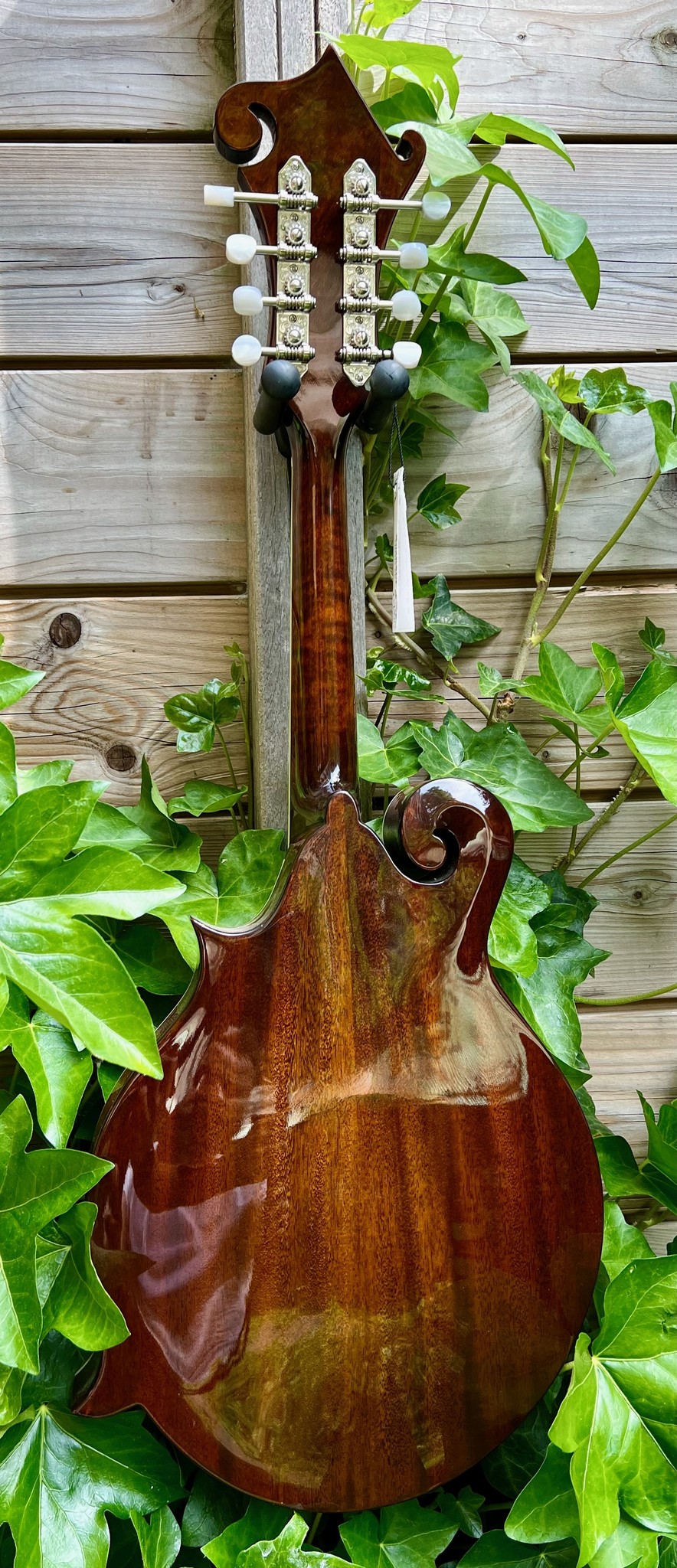 Eastman Eastman MD415-BK F-Style F-Holes