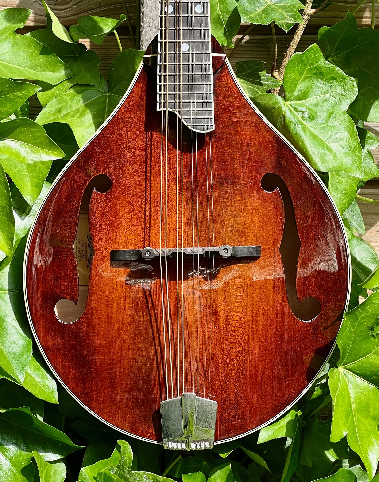 Eastman Eastman MD505 A-Style Mandoline