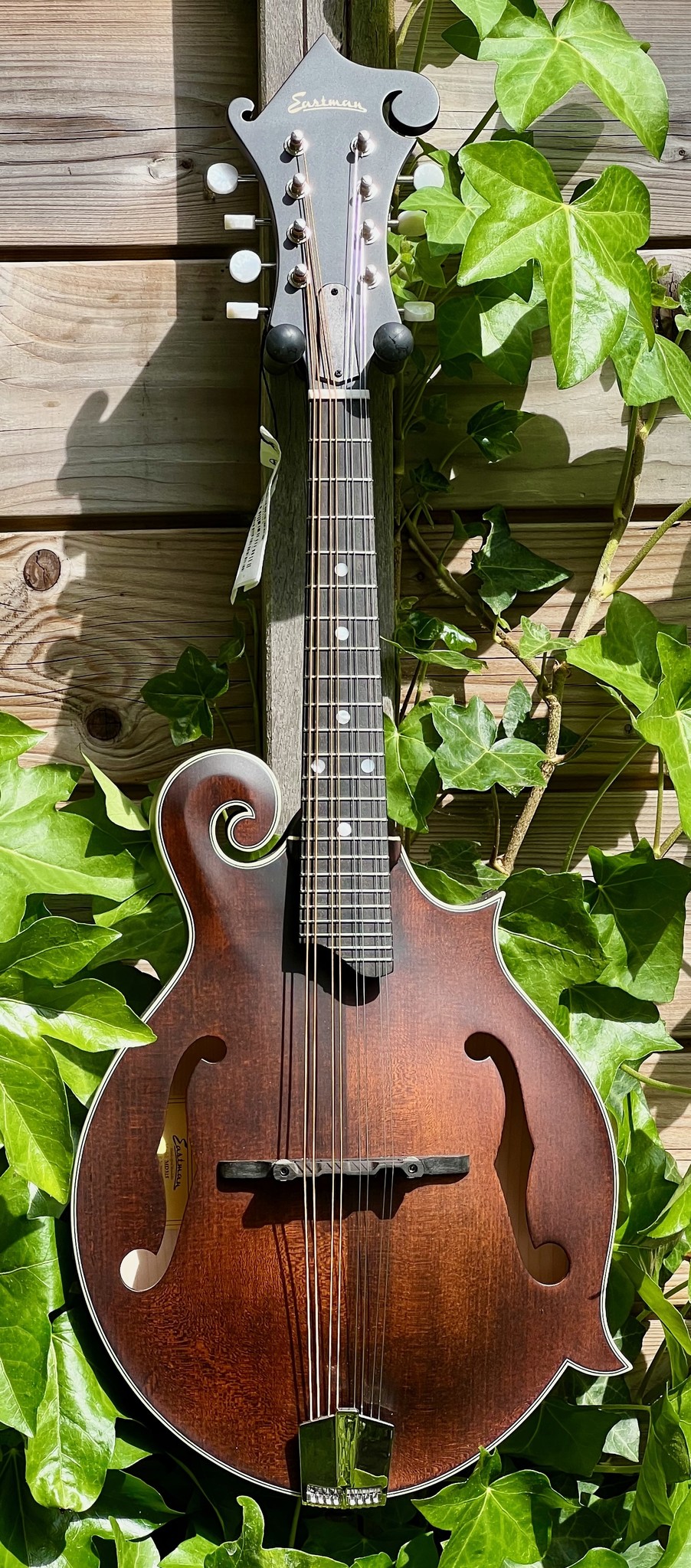 Eastman Eastman Mandolin MD315 F-style F-holes