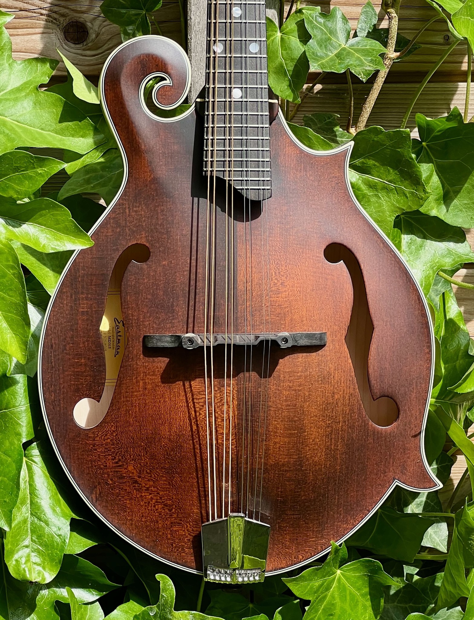 Eastman Eastman Mandoline MD315 F-style F-holes