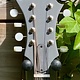Eastman Eastman MD315