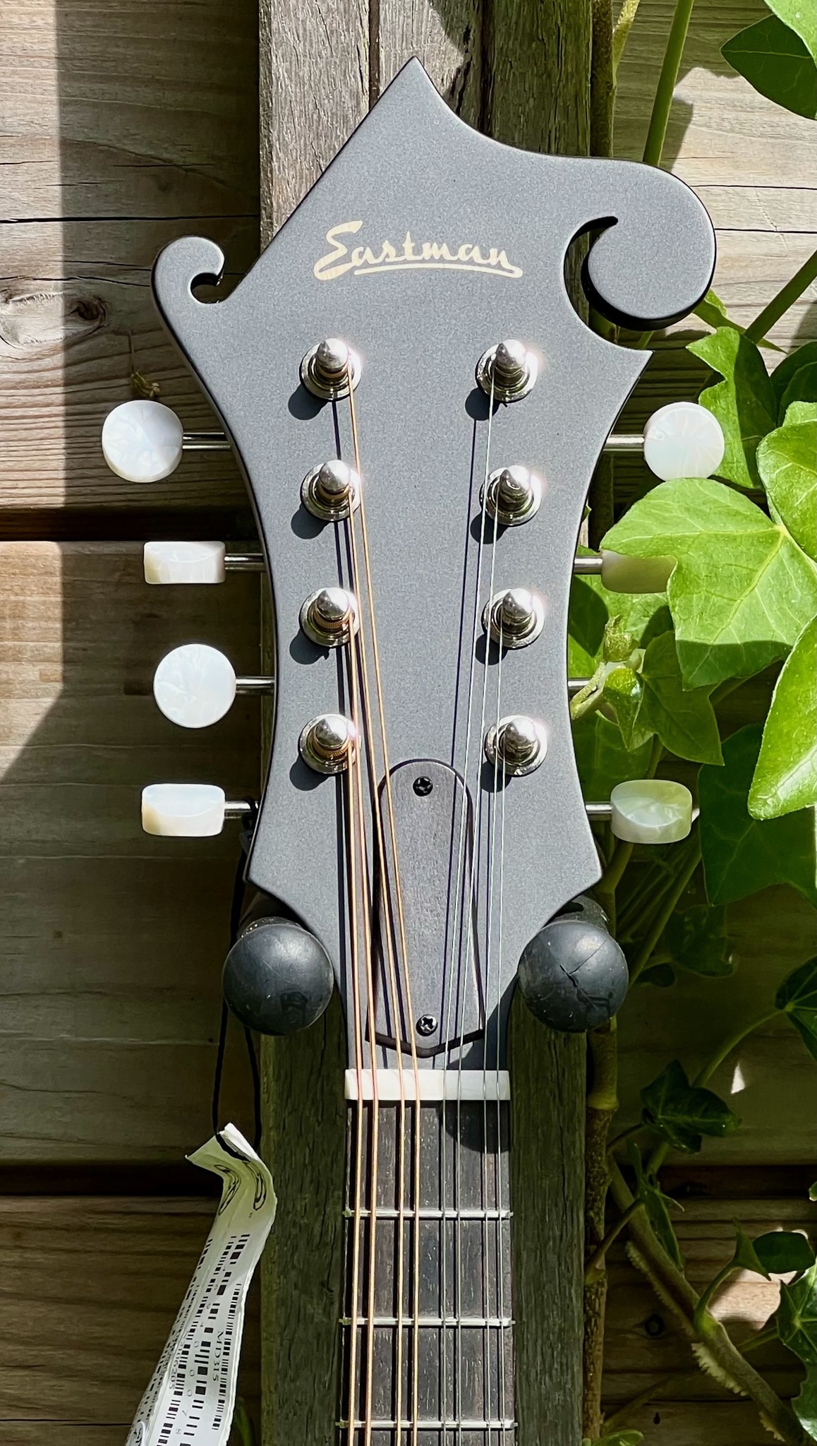 Eastman Eastman MD315 F-Style F-Holes