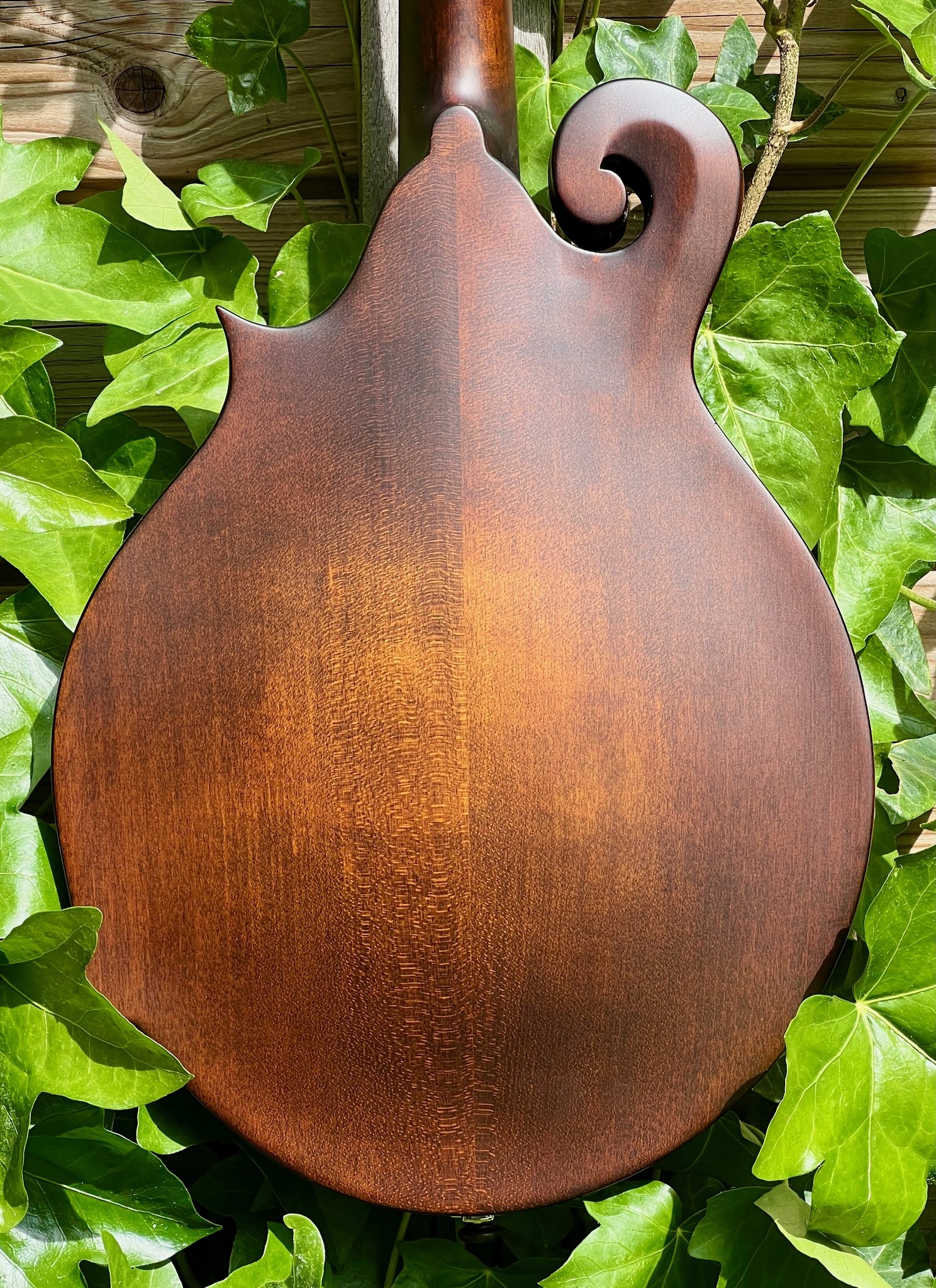 Eastman Eastman MD315 F-Style F-Holes