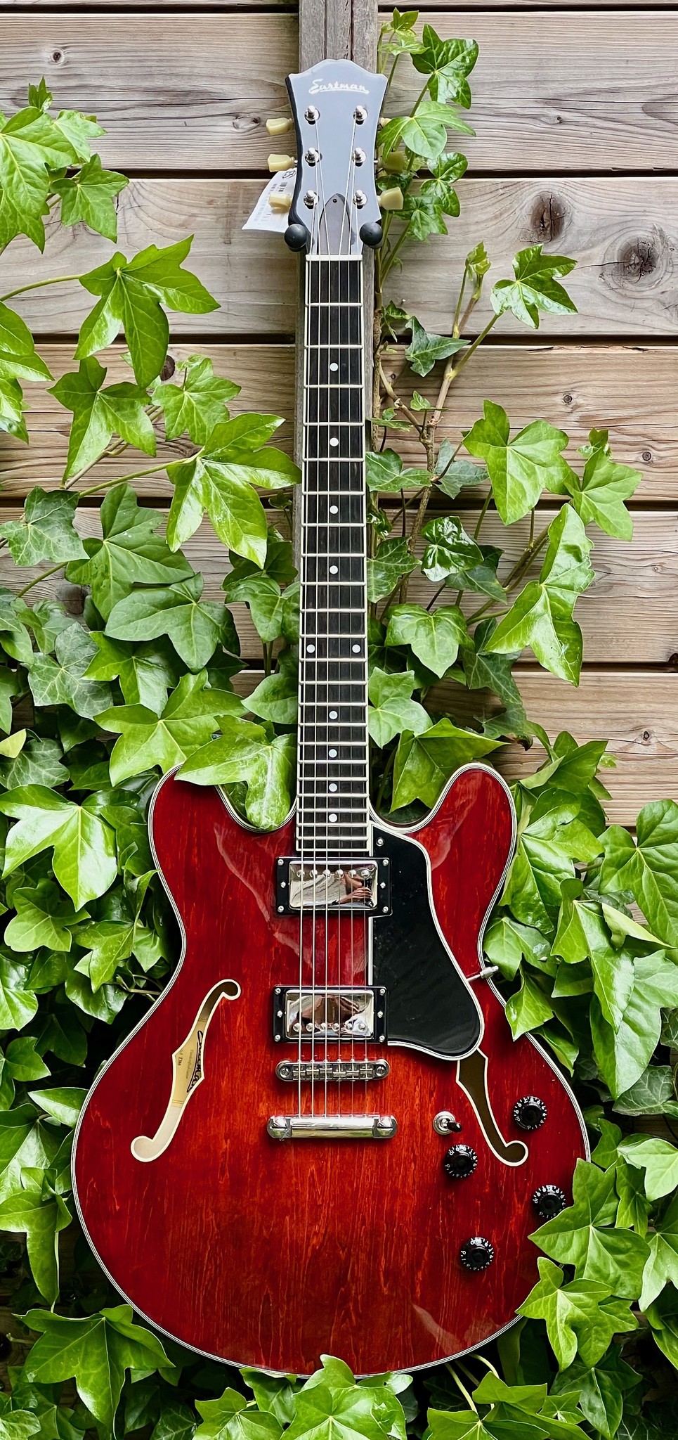 Eastman Eastman T386CL 16" Thinline Classic Finish (P2102723)