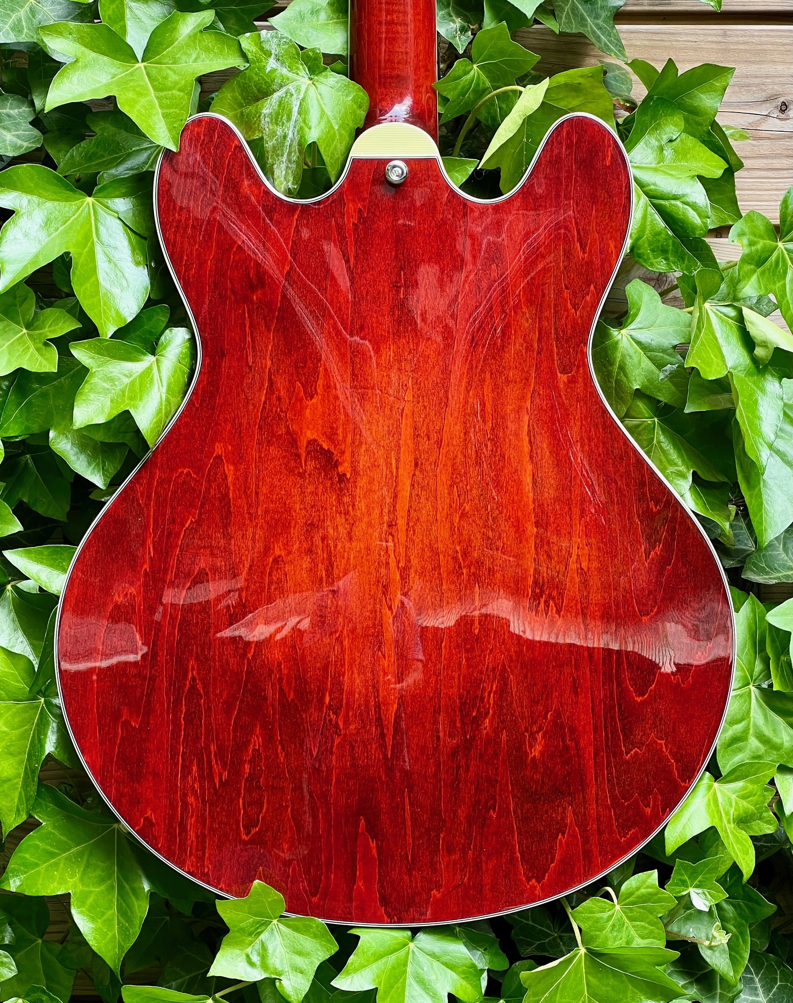 Eastman Eastman T386CL 16" Thinline Classic Finish (P2102723)