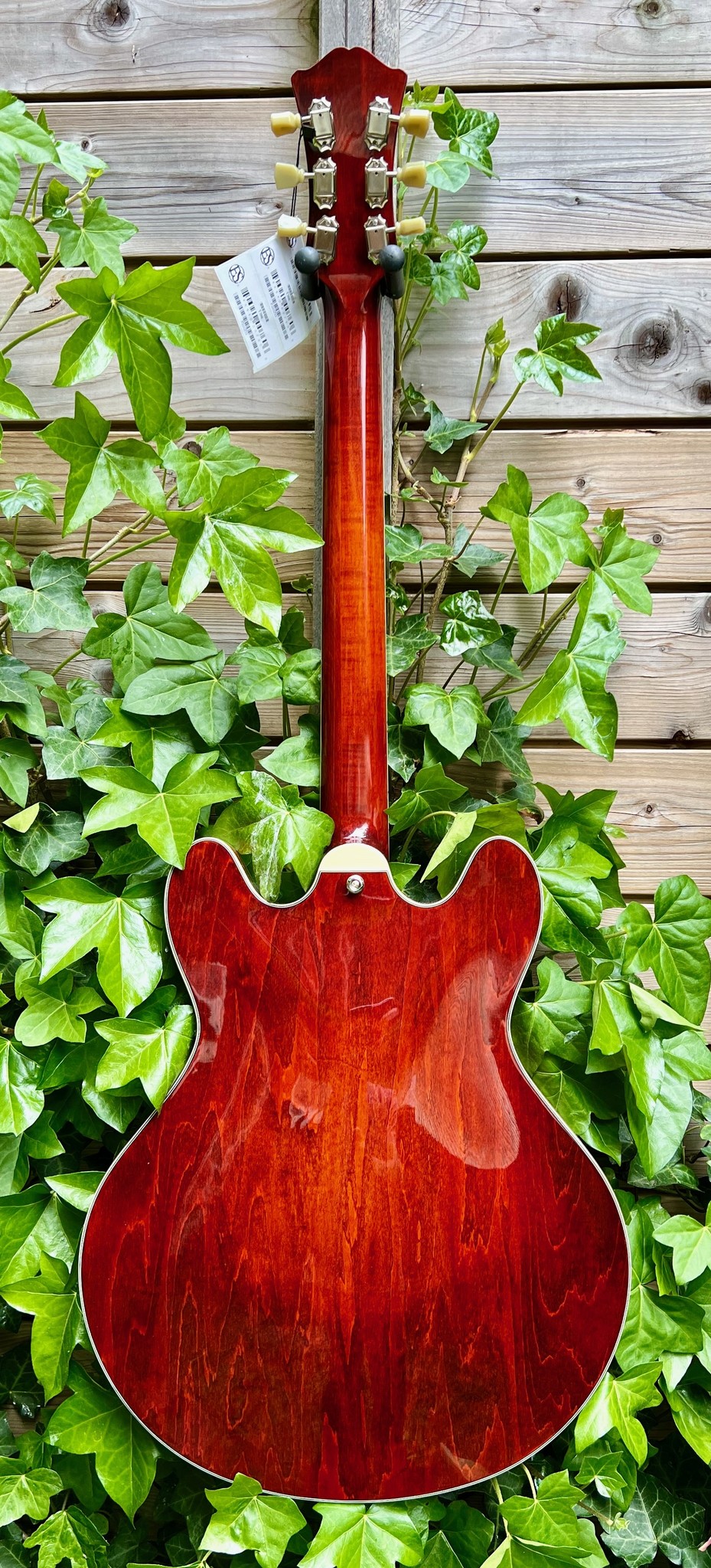 Eastman Eastman T386CL 16" Thinline Classic Finish (P2102723)