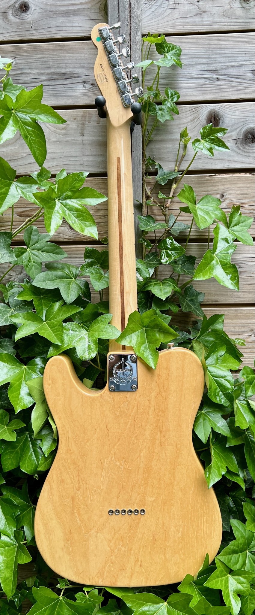 Fender Fender Telebration #11 '75 Tele Natural