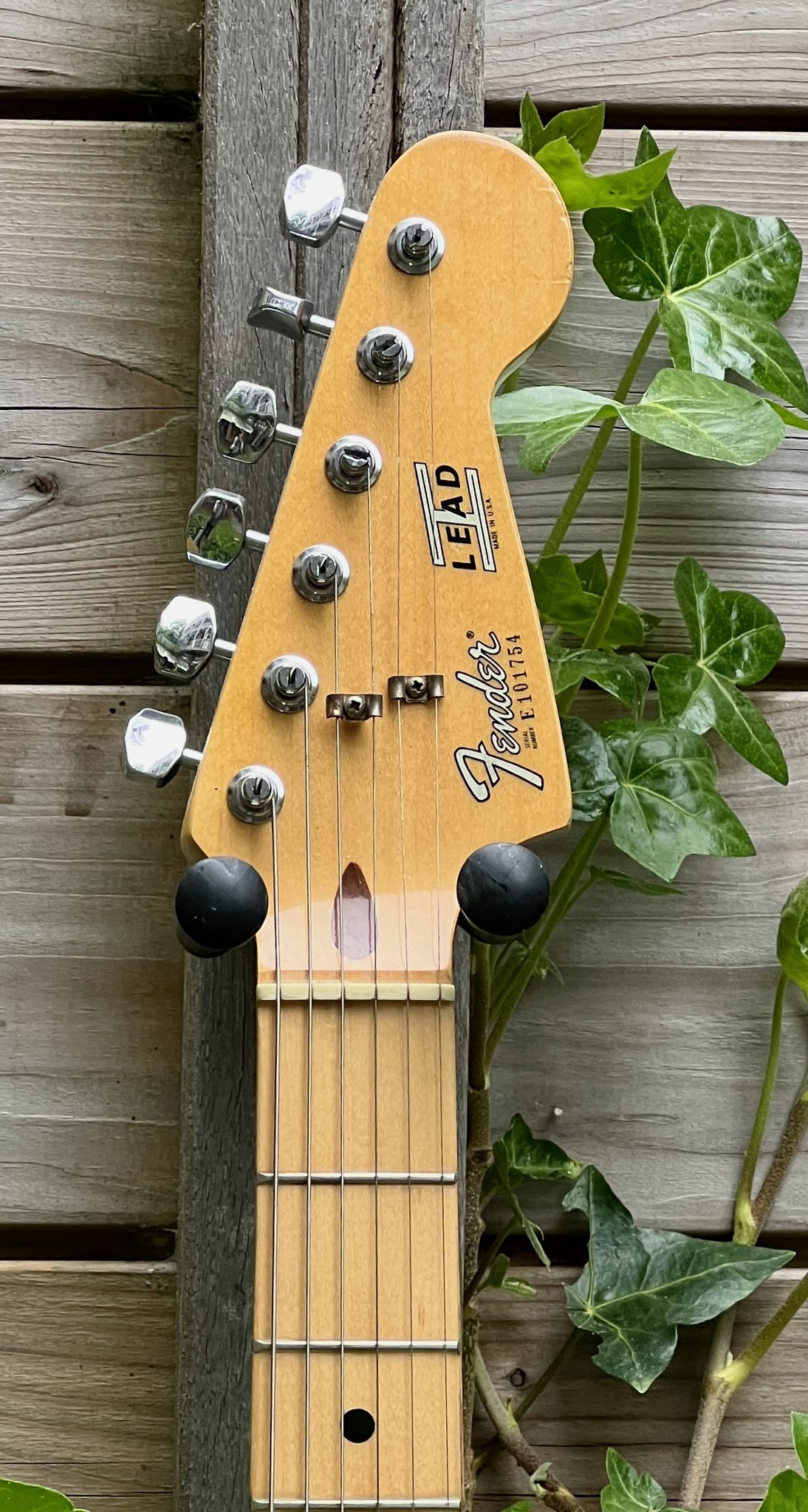 Fender 1981 Fender Lead I Black