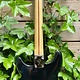 Fender 1981 Fender Lead I Black