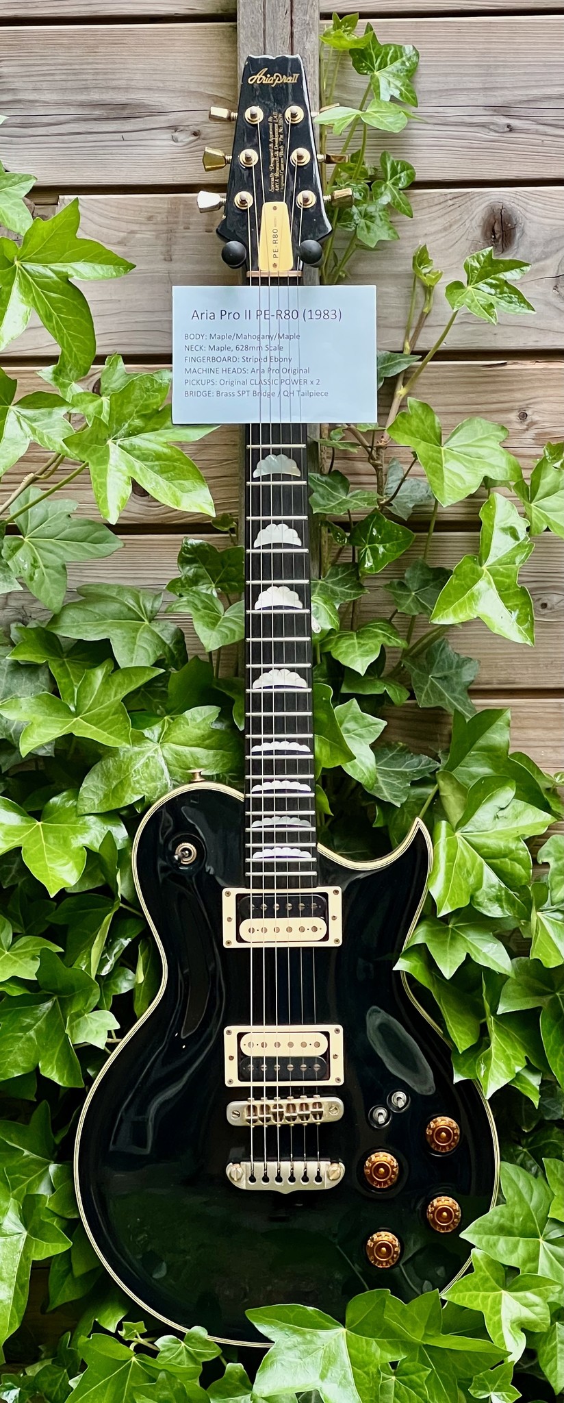 Aria 1983 Aria Pro II PE-R80