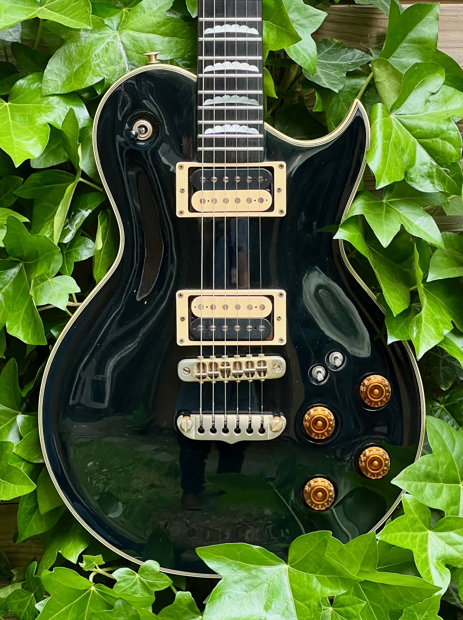 Aria 1983 Aria Pro II PE-R80