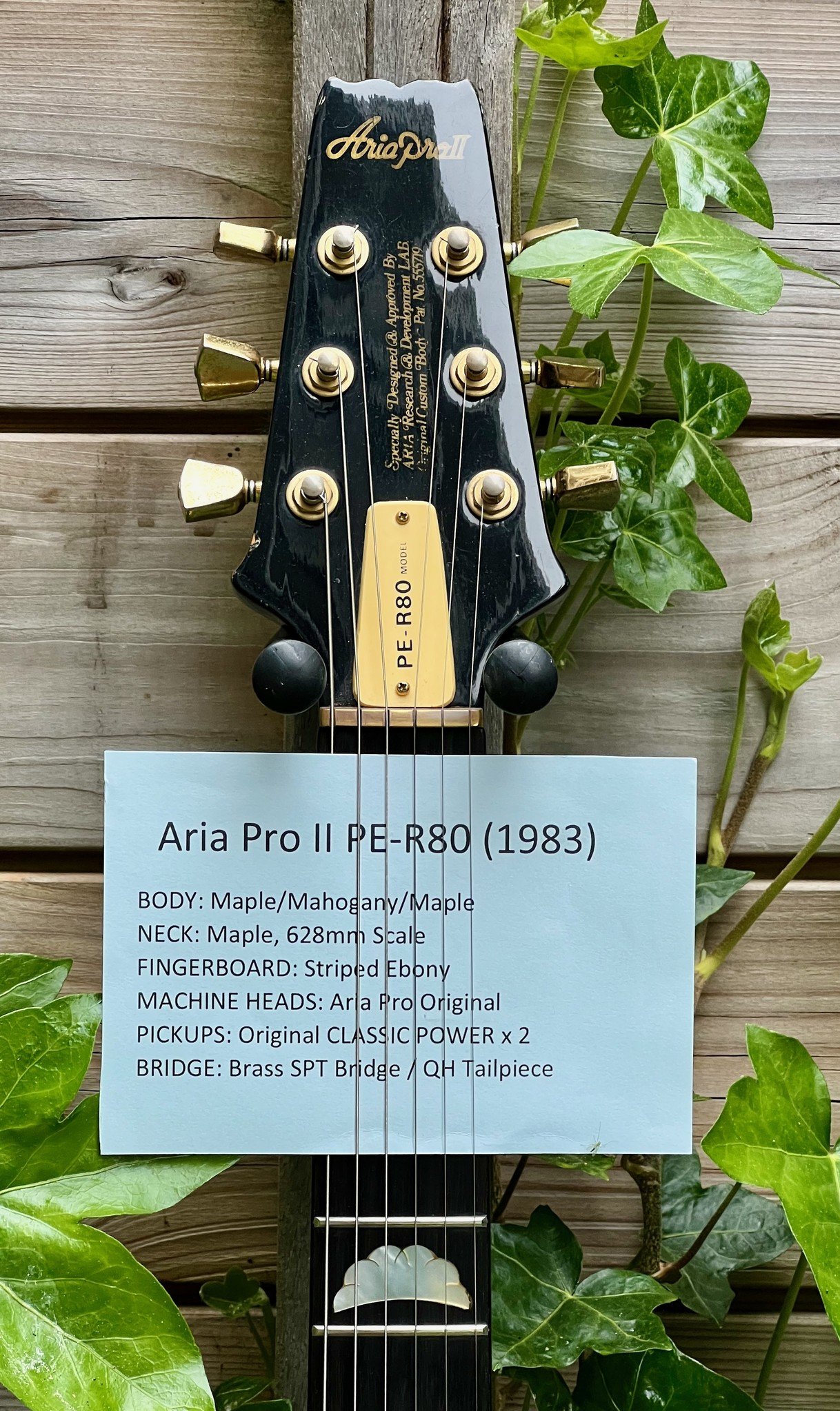 Aria 1983 Aria Pro II PE-R80