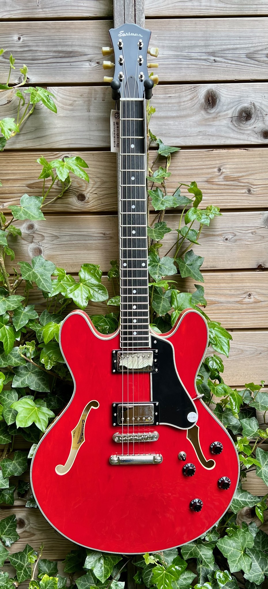 Eastman (SALE!) Eastman T386RD 16" Thinline Cherry (P2002375)