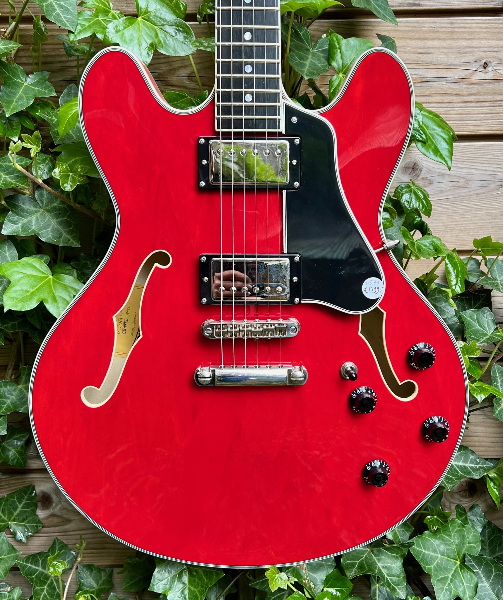 Eastman (SALE!) Eastman T386RD 16" Thinline Cherry (P2002375)