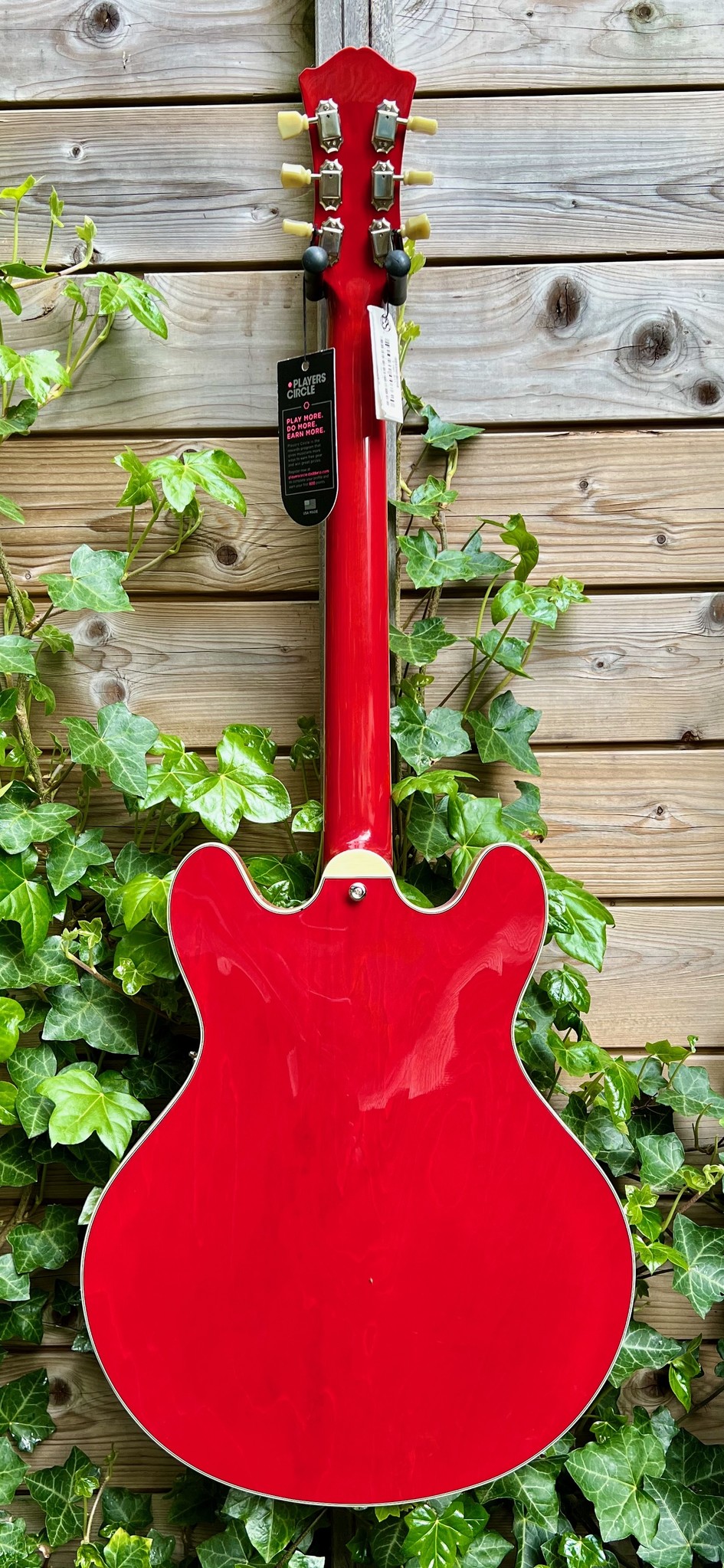 Eastman (SALE!) Eastman T386RD 16" Thinline Cherry (P2002375)