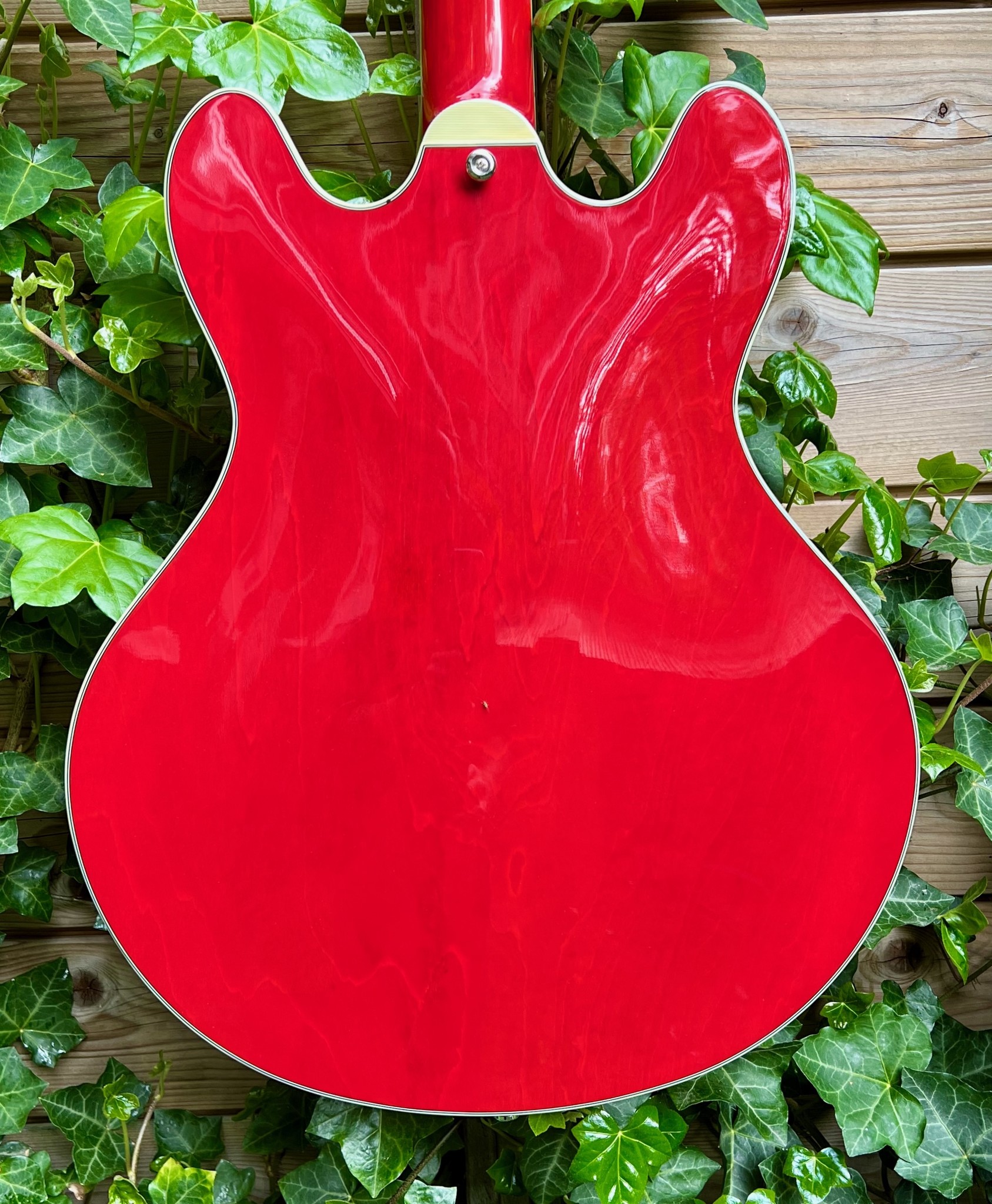 Eastman (SALE!) Eastman T386RD 16" Thinline Cherry (P2002375)