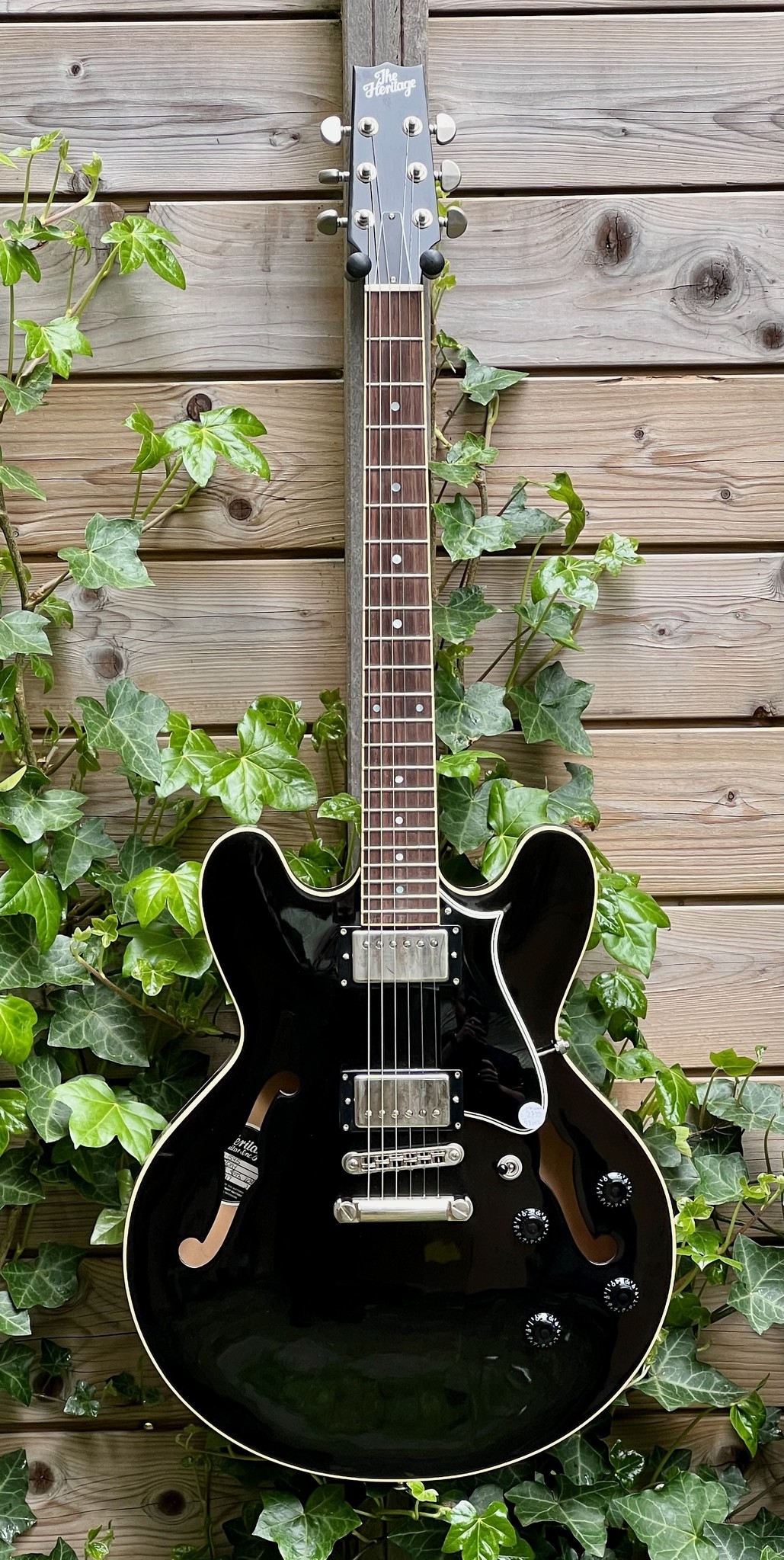 Heritage (PRICE DROP!) Heritage H-535 Ebony