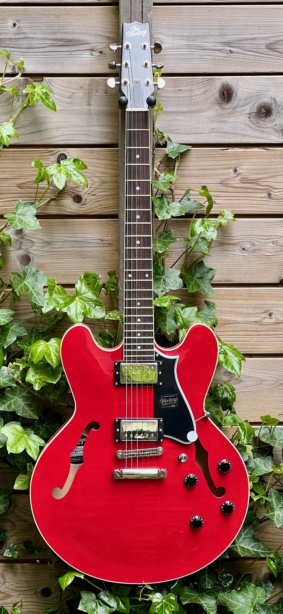 Heritage (PRICE DROP!) Heritage H-535 Cherry (#AL07502)