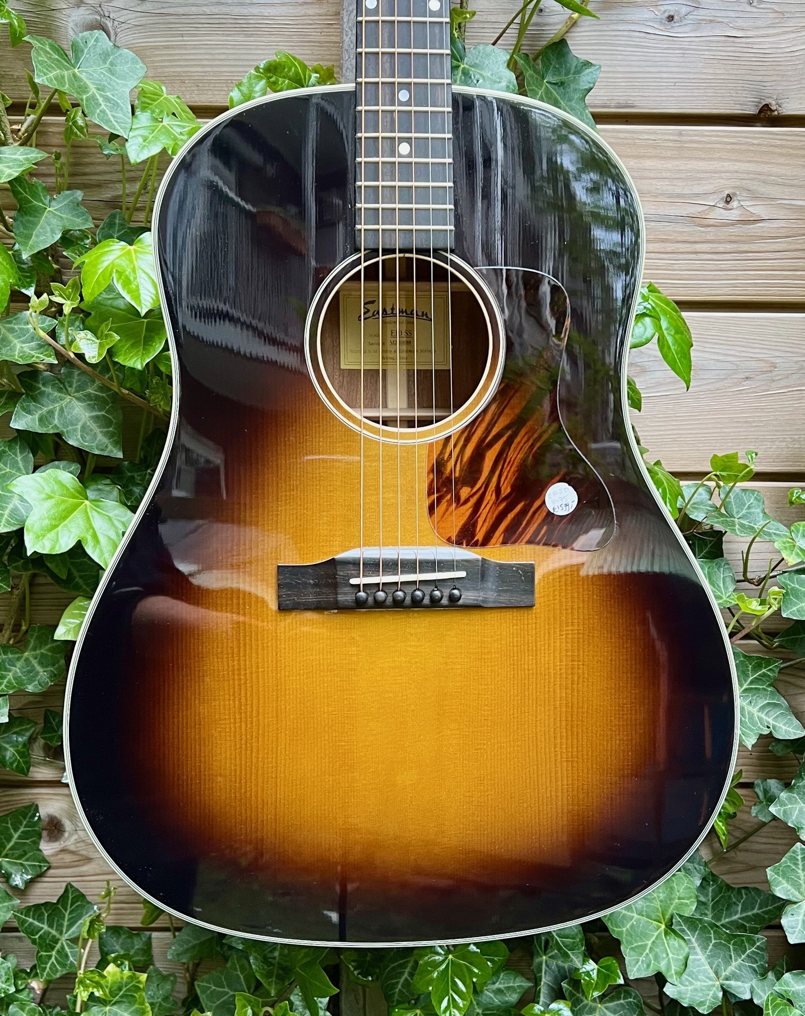 eastman sunburst