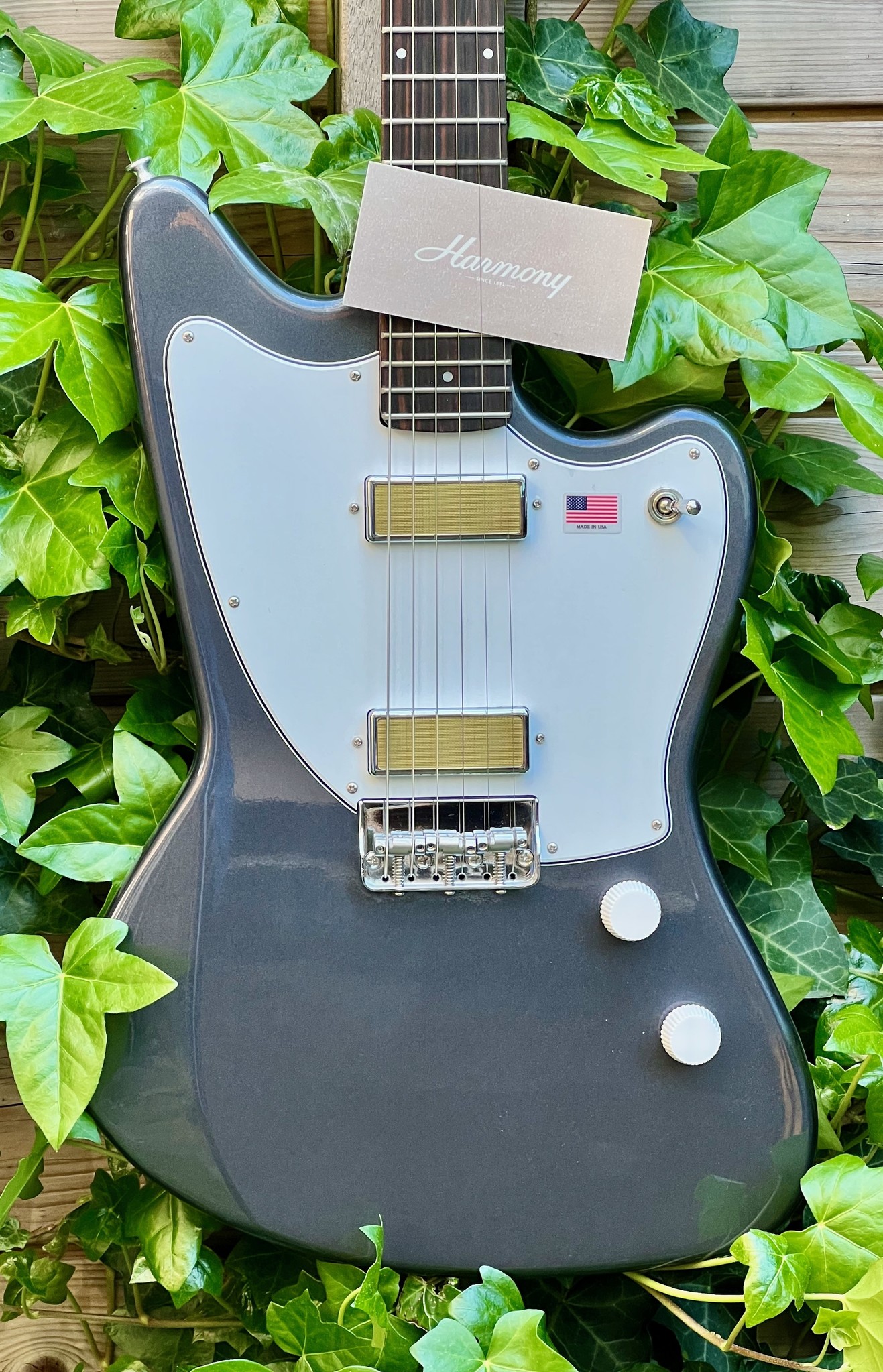 Harmony (SALE) Harmony USA Silhouette Slate