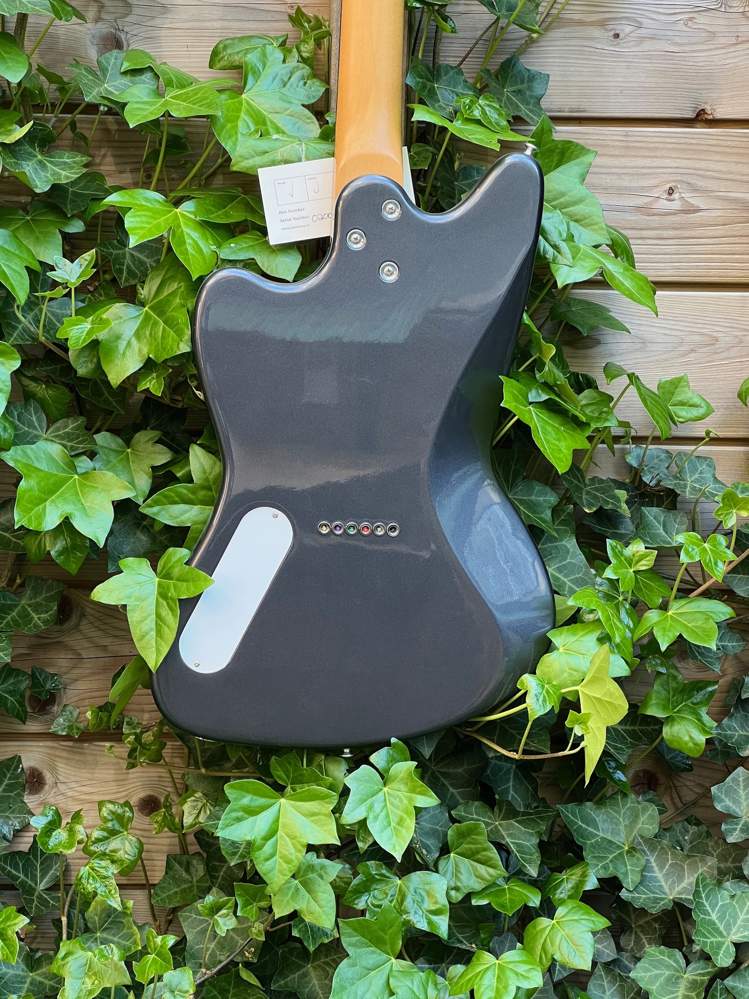 Harmony (SALE) Harmony USA Silhouette Slate