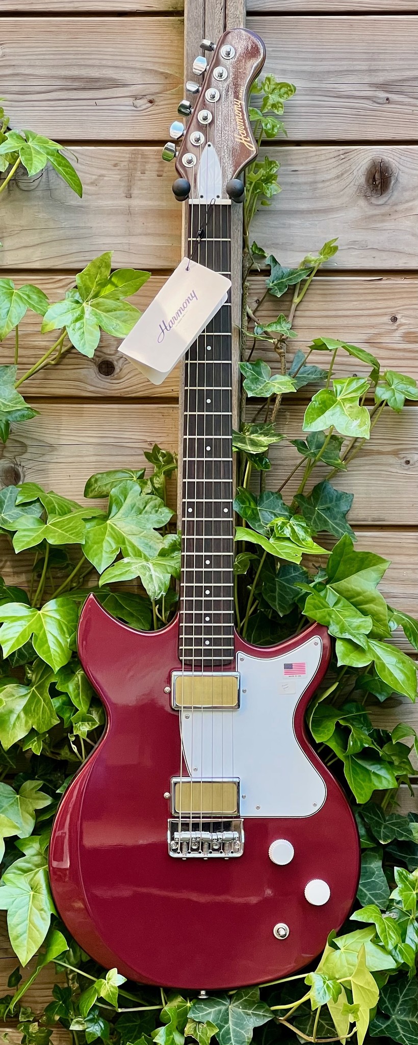 Harmony Harmony Rebel Burgundy