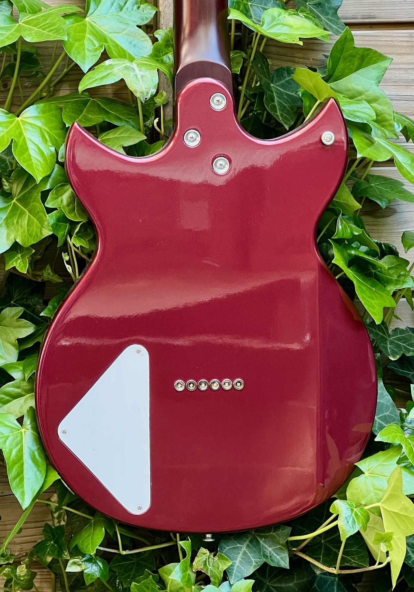 Harmony Harmony Rebel Burgundy