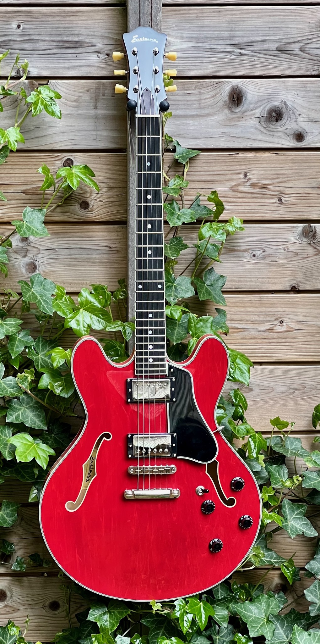 Eastman Eastman T386RD 16" Thinline Cherry (P2101781)