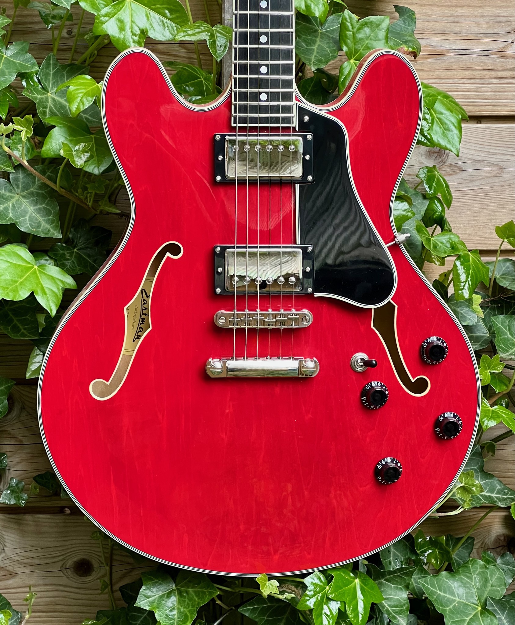 Eastman Eastman T386RD 16" Thinline Cherry (P2101781)