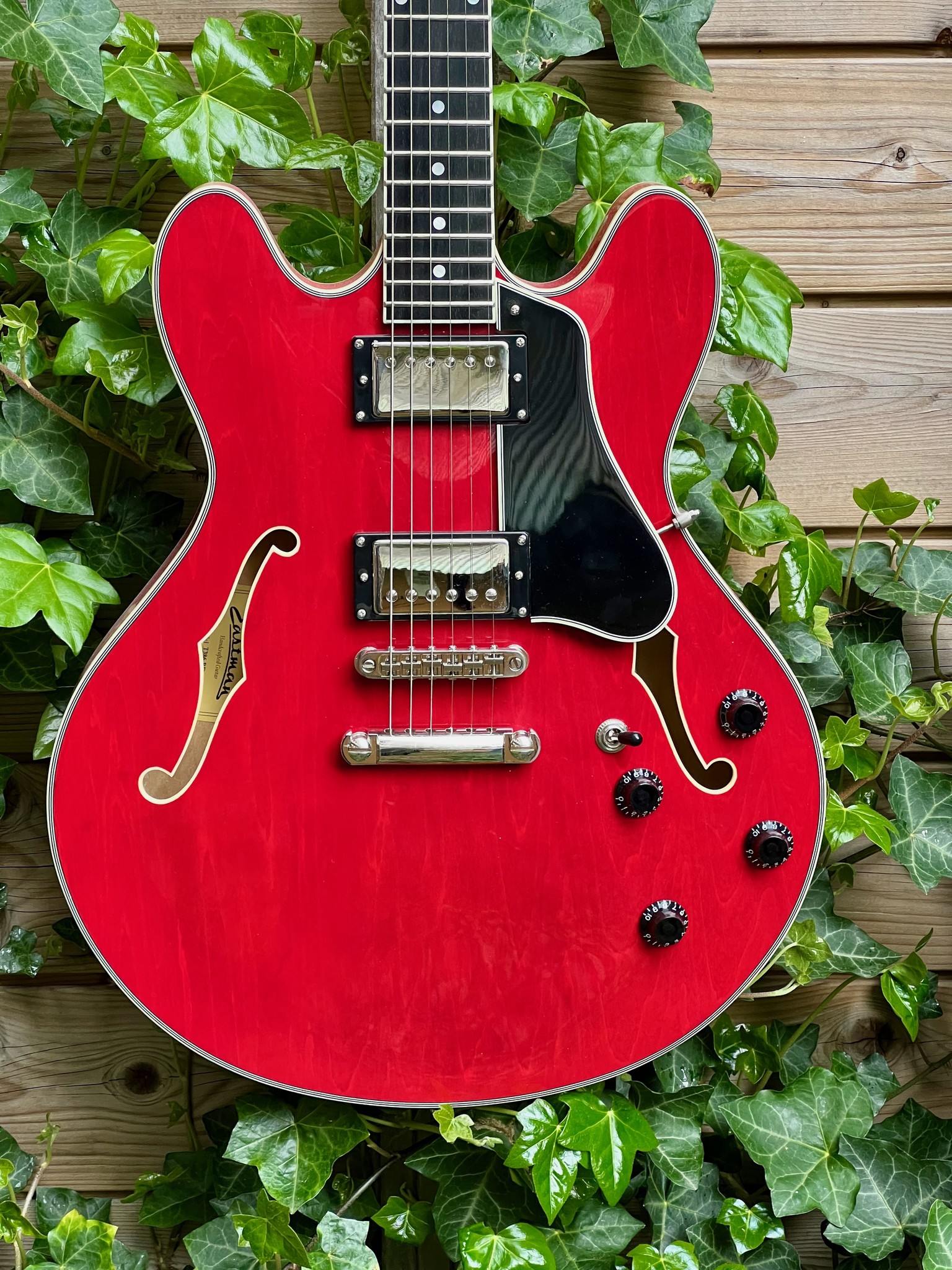 Eastman Eastman T386RD 16" Thinline Cherry (P2101781)