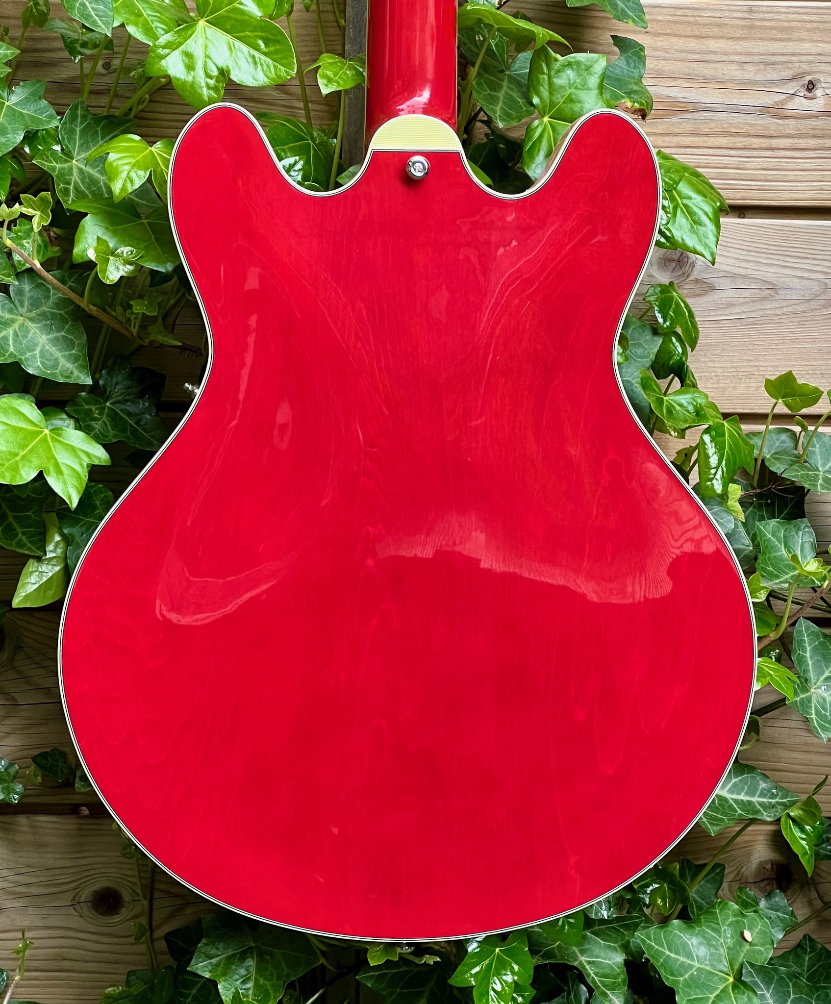 Eastman Eastman T386RD 16" Thinline Cherry (P2101781)