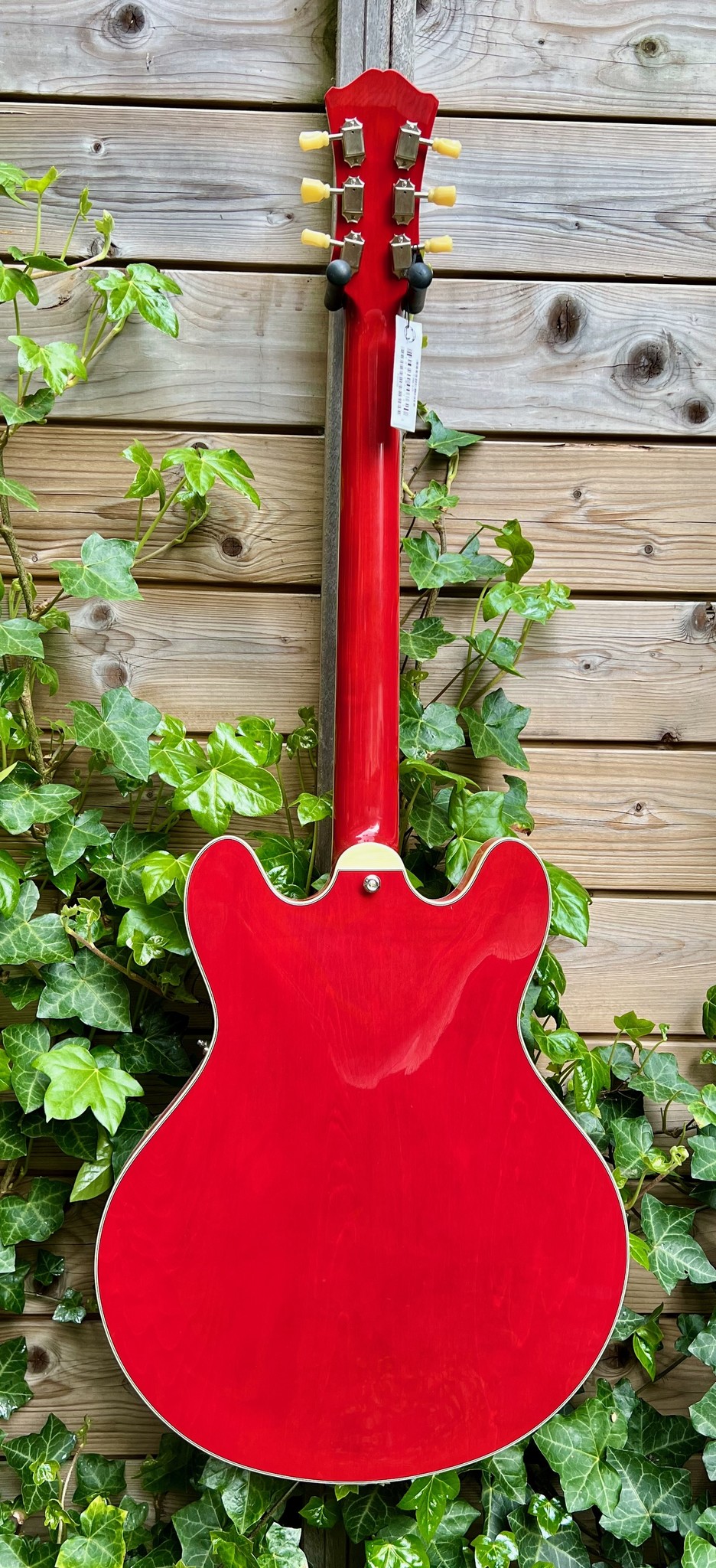 Eastman Eastman T386RD 16" Thinline Cherry (P2101781)