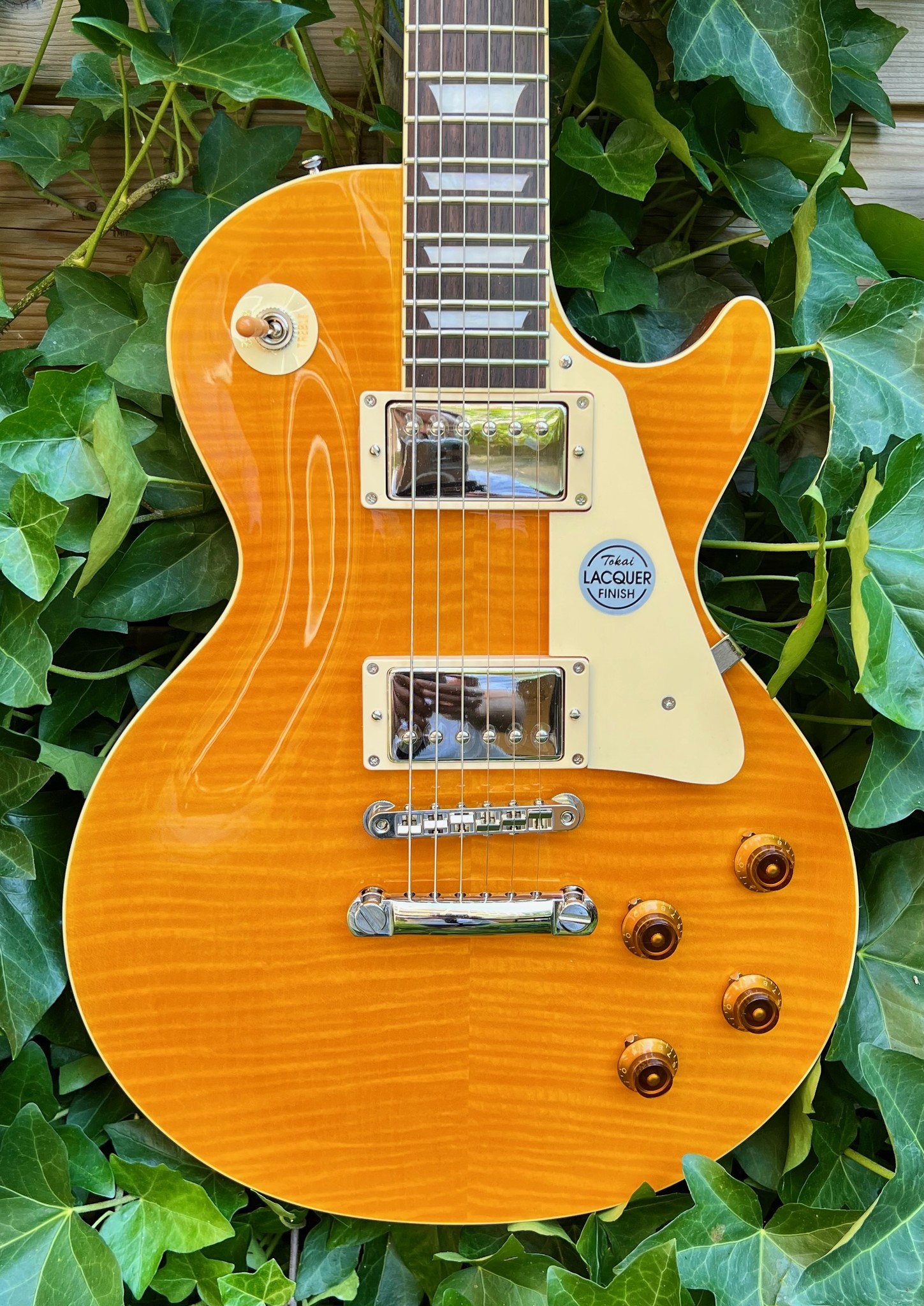 Tokai Tokai LS136FC Lemon Drop