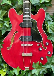 Eastman Eastman T64/VT-RD Red Varnish
