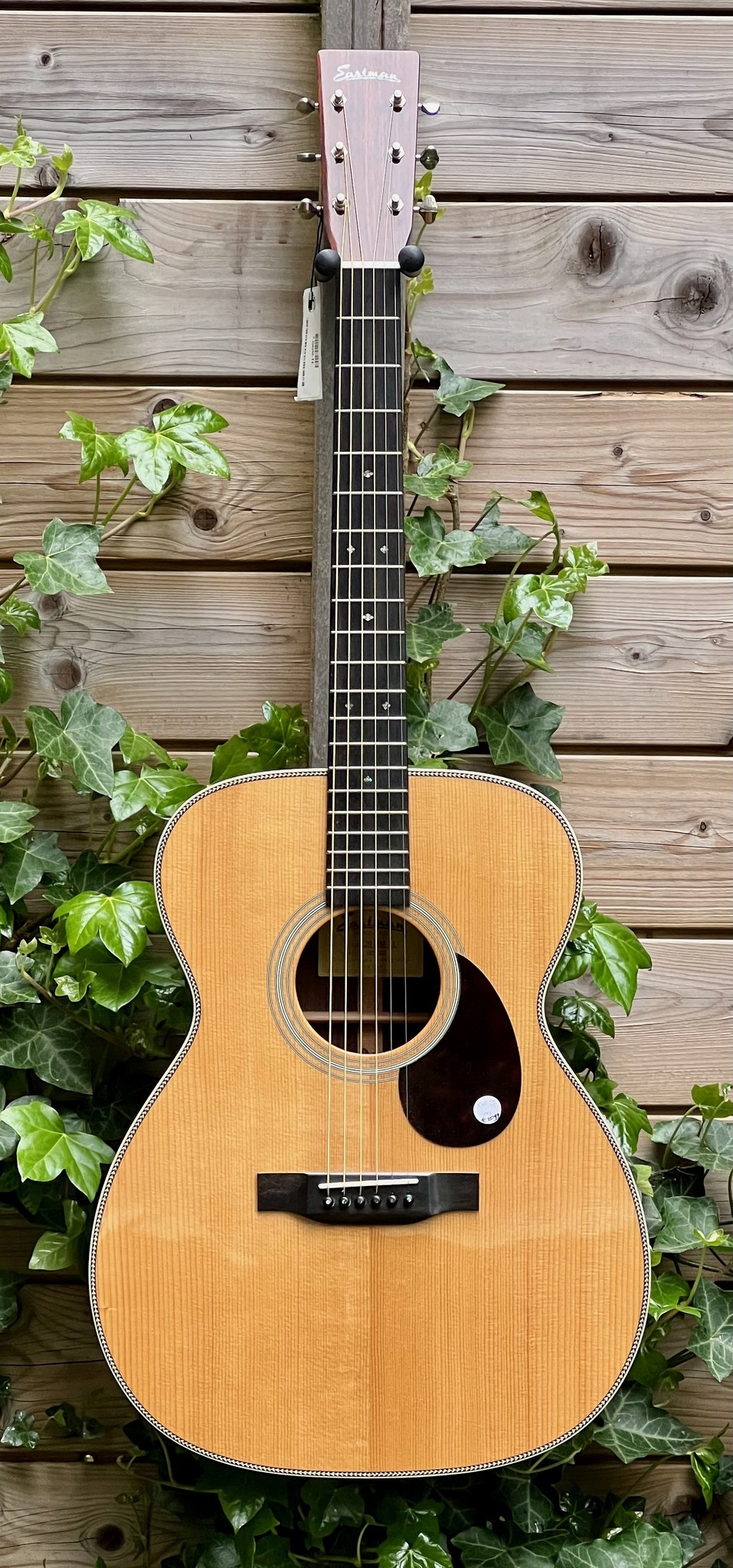 Eastman Eastman E20 OM-TC (#...423)