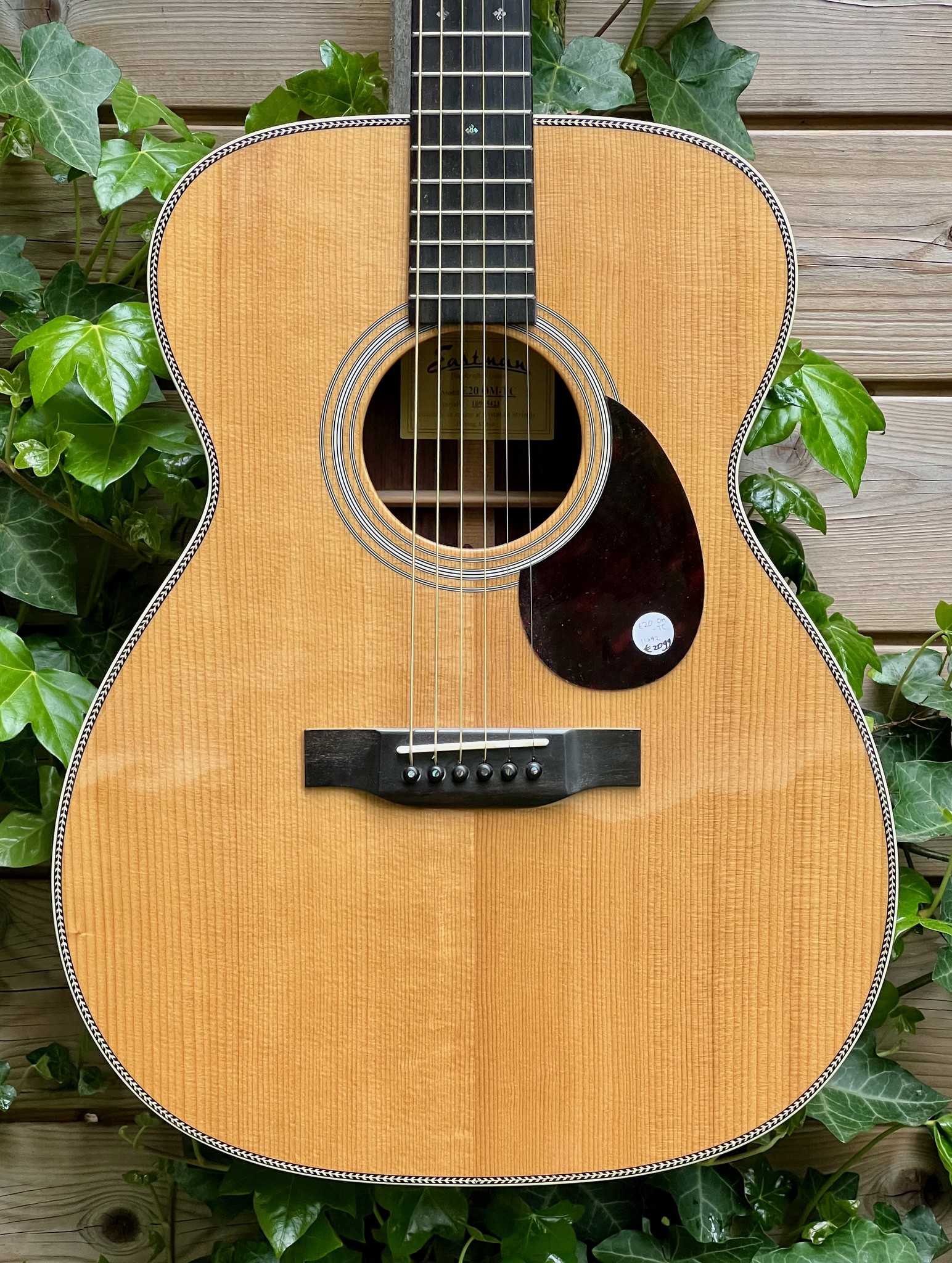 Eastman Eastman E20 OM-TC (#...423)