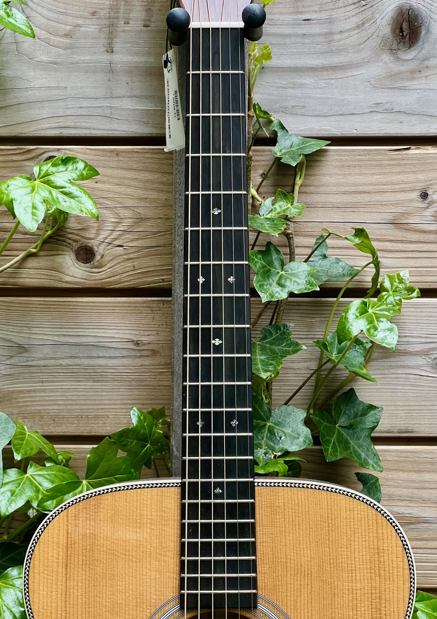 Eastman Eastman E20 OM-TC (#...423)