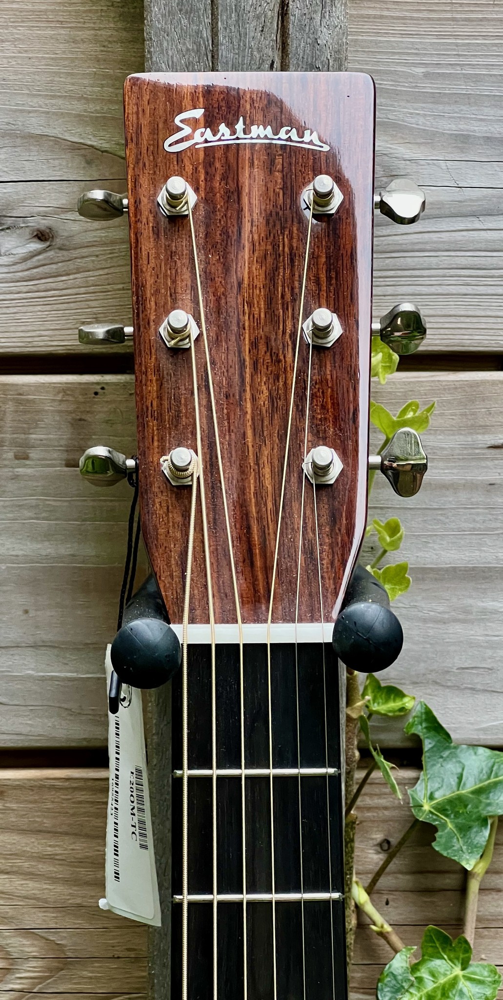 Eastman Eastman E20 OM-TC (#...423)